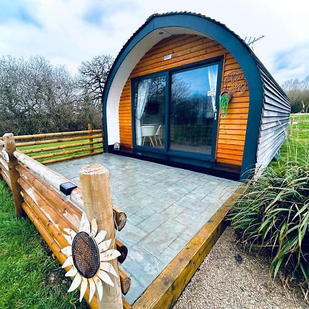 Beech Pod Cabin In Beautiful Surroundings Wrexham Exterior foto